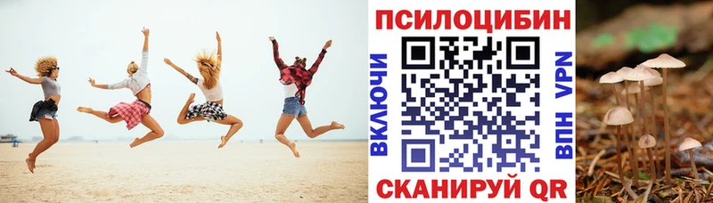 omg рабочий сайт  Зерноград  Галлюциногенные грибы Psilocybe 